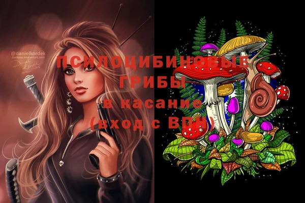 меф Каменск-Шахтинский