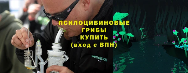 МДМА Каменка
