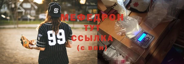 гидра Инта