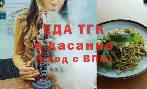гидра Инта