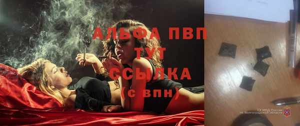 ПСИЛОЦИБИНОВЫЕ ГРИБЫ Инсар