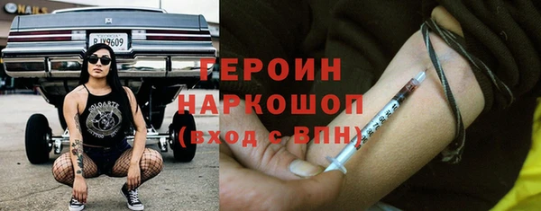 гидра Инта