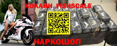 молекула духа Кингисепп