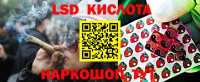 jwh Кинель