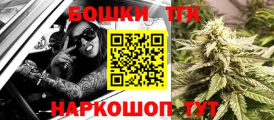 молекула духа Кингисепп