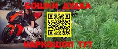 молекула духа Кингисепп