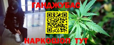 молекула духа Кингисепп