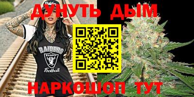 молекула духа Кингисепп