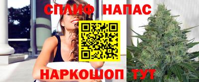 молекула духа Кингисепп