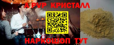 молекула духа Кингисепп