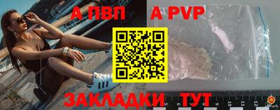 молекула духа Кингисепп