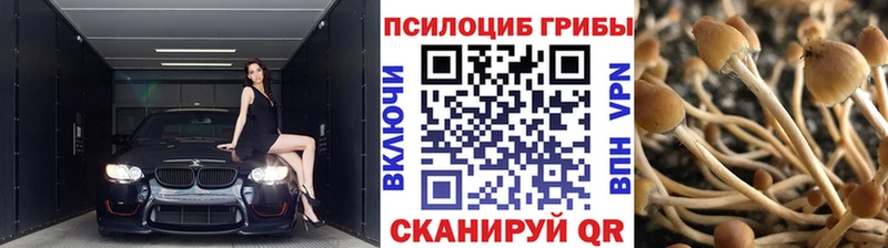 ОМГ ОМГ ТОР  Кумертау  Галлюциногенные грибы мухоморы 