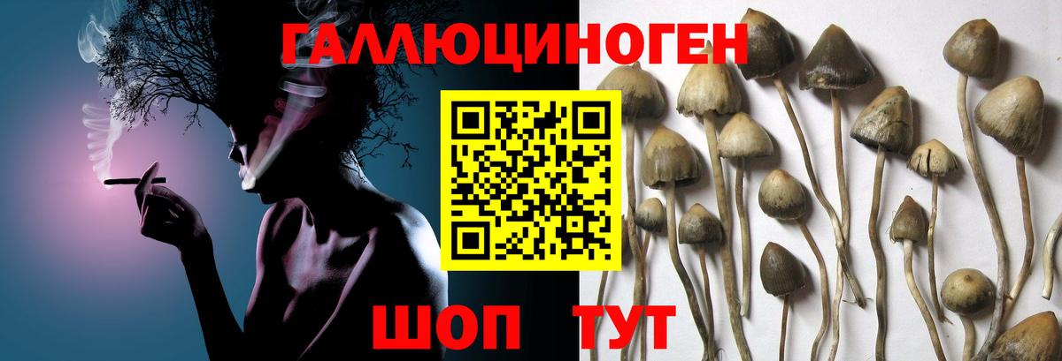 Кумертау  Галлюциногенные грибы мухоморы  Вход с VPN  Псилоцибиновые грибы Magic Shrooms 
